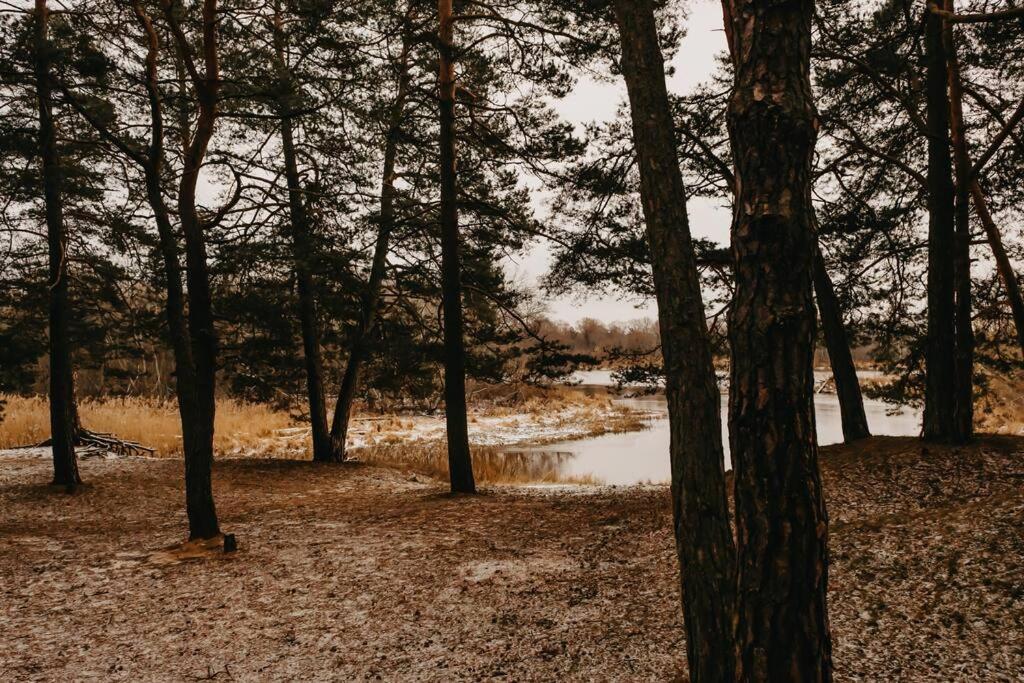 Gaujaupe 2 Ваканционна къща Gauja (Carnikava)